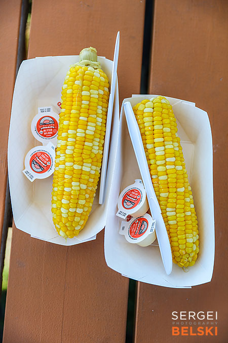 corn maze fun event photographer sergei belski photo