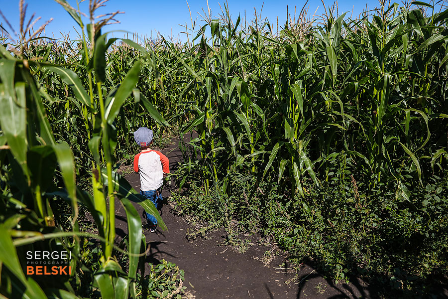 corn maze fun event photographer sergei belski photo