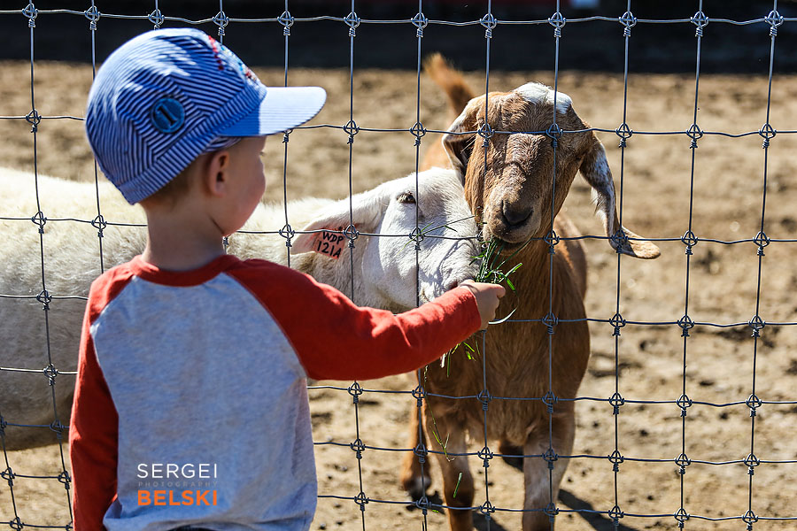 corn maze fun event photographer sergei belski photo