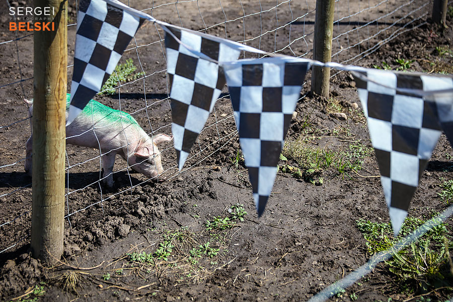 corn maze fun event photographer sergei belski photo