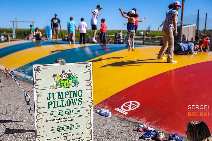 corn maze fun event photographer sergei belski photo