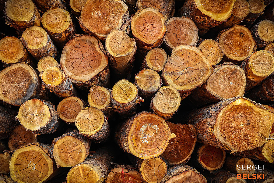 my vespa adventures alberta travel photographer sergei belski photo