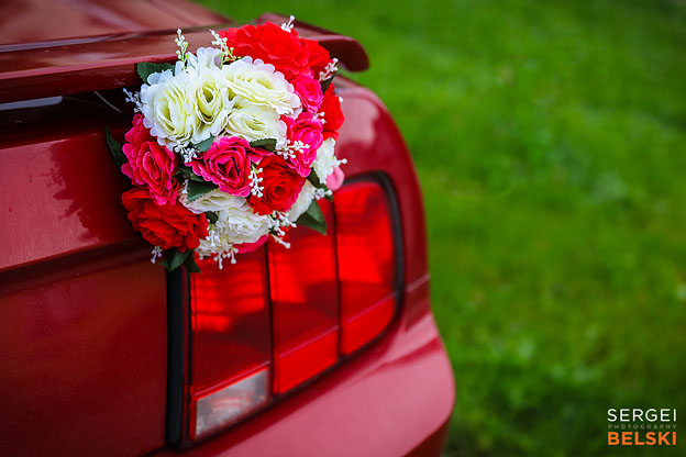 calgary wedding photographer calgary zoo weeding sergei belski photo