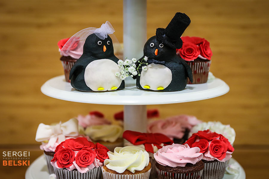calgary wedding photographer calgary zoo weeding sergei belski photo
