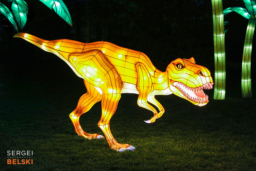 calgary zoo illuminasia event photographer sergei belski photo