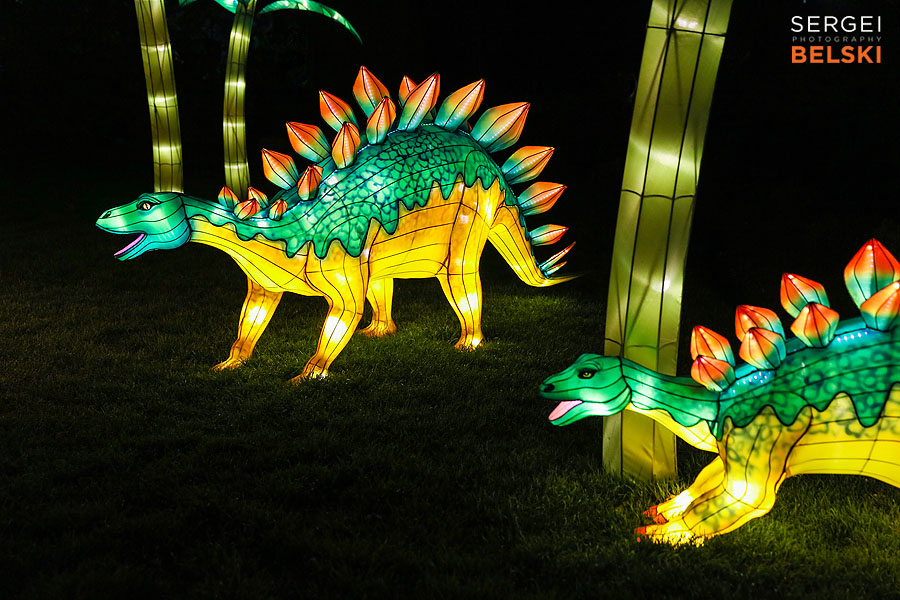 calgary zoo illuminasia event photographer sergei belski photo