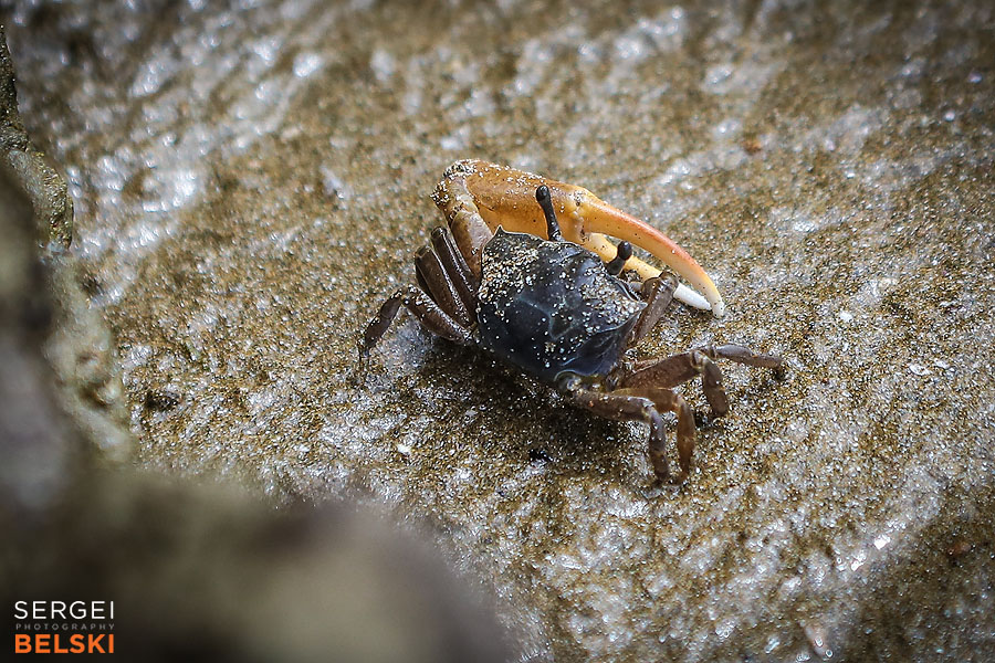 costa rica travel adventures photographer sergei belski photo
