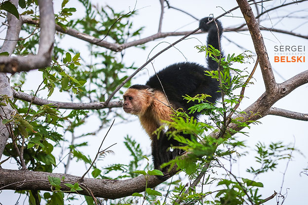 costa rica travel adventures photographer sergei belski photo