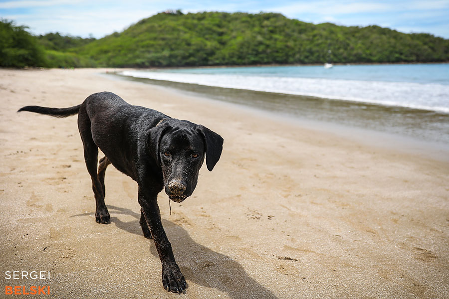 costa rica travel adventures photographer sergei belski photo
