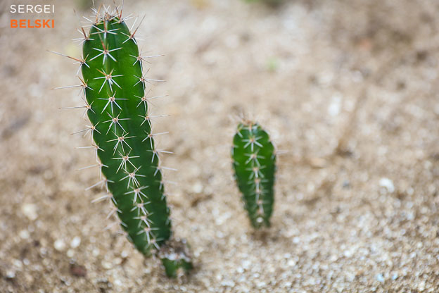 costa rica travel adventures photographer sergei belski photo