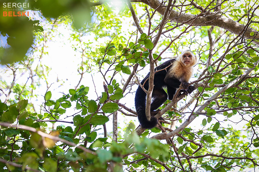 costa rica travel adventures photographer sergei belski photo
