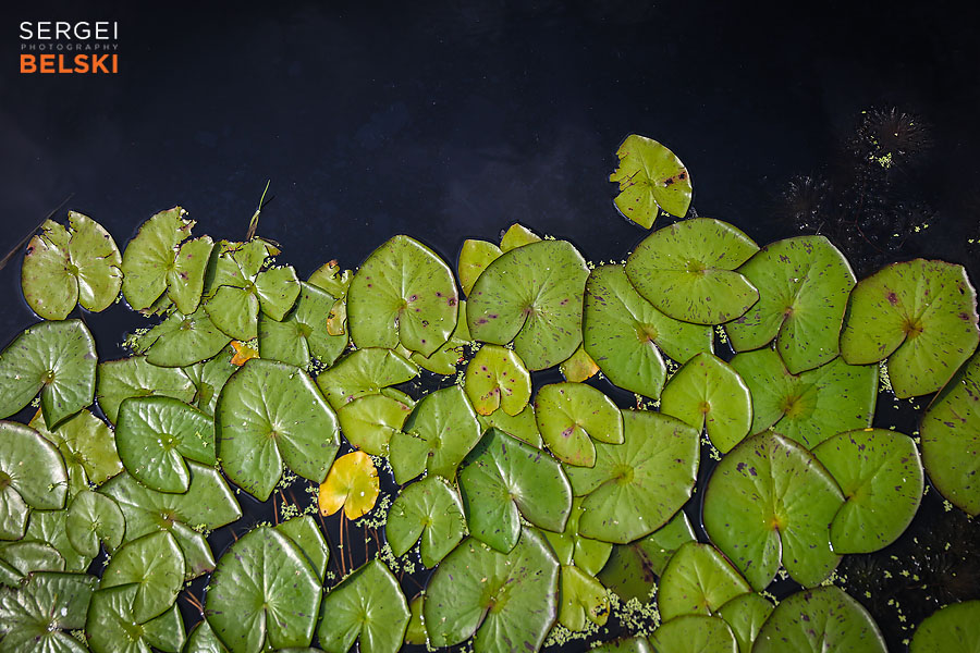 costa rica travel adventures photographer sergei belski photo