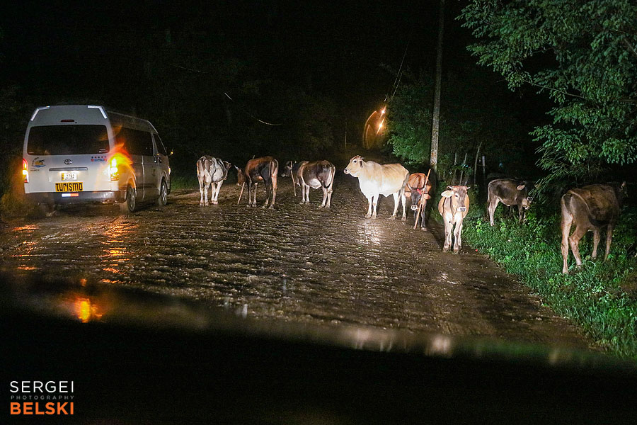 costa rica travel adventures photographer sergei belski photo