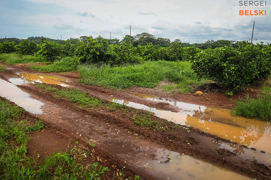costa rica travel adventures photographer sergei belski photo