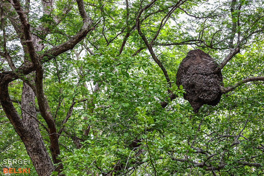 costa rica travel adventures photographer sergei belski photo