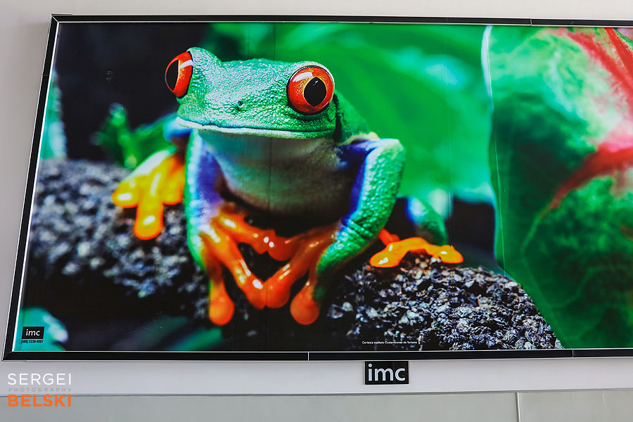 costa rica travel adventures photographer sergei belski photo