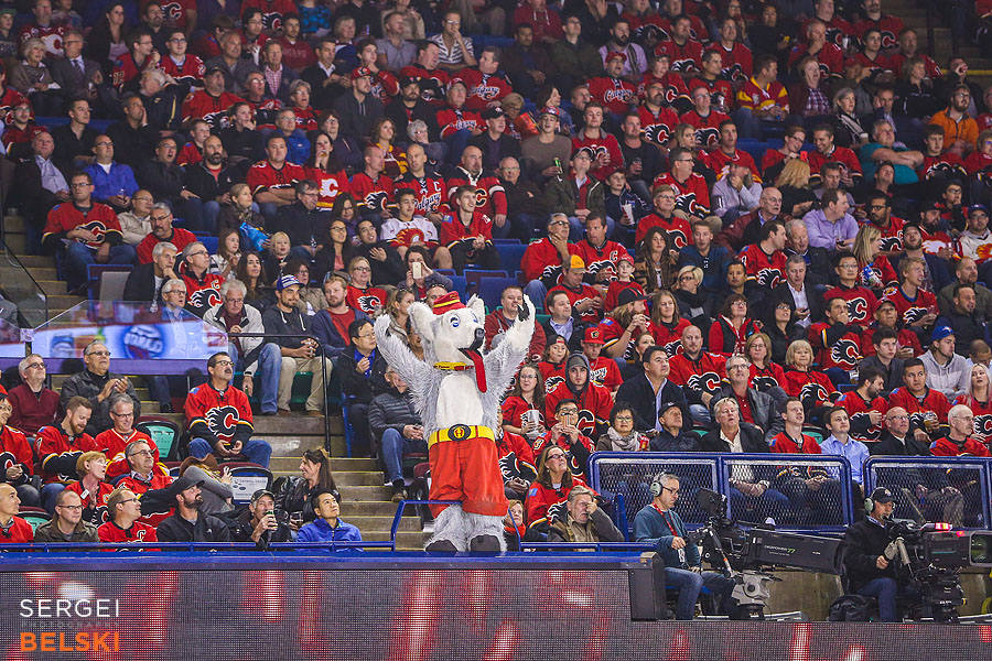 nhl hockey calgary sports photographer sergei belski photo