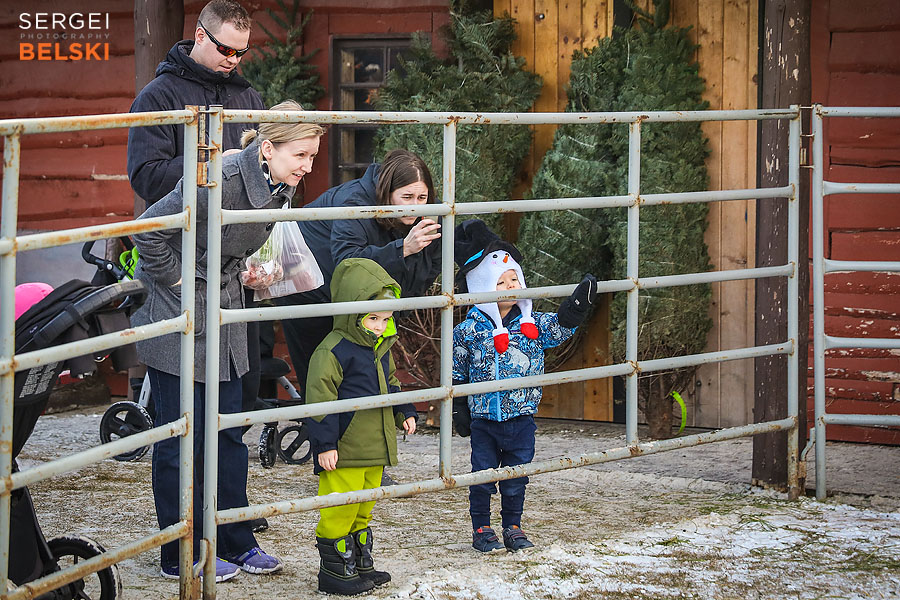 calgary family photographer sergei belski photo