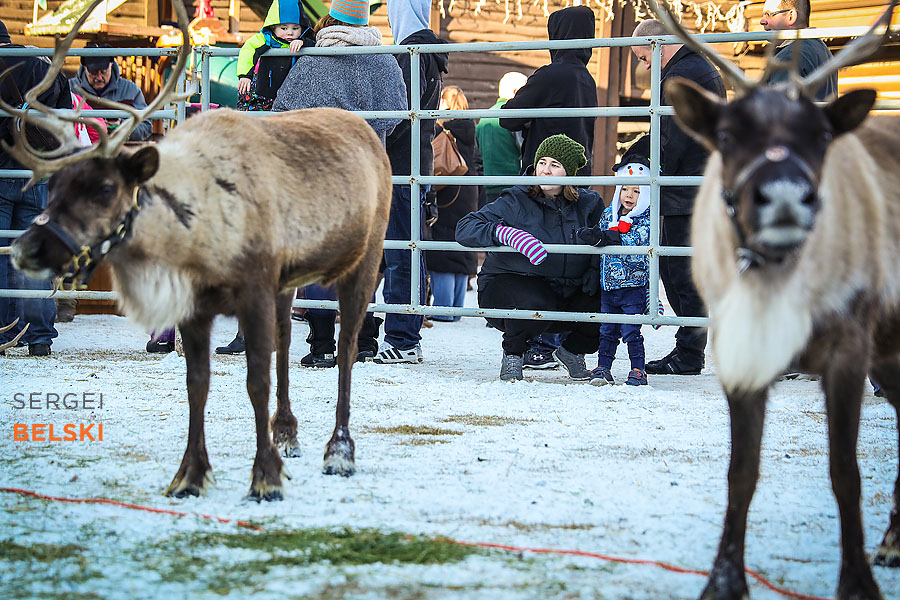 calgary family photographer sergei belski photo