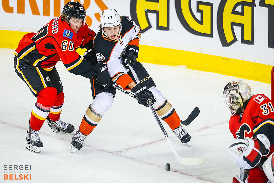 nhl hockey calgary sports photographer sergei belski photo