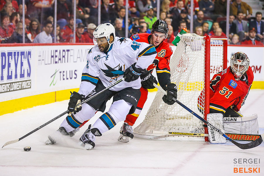 nhl hockey calgary sports photographer sergei belski photo