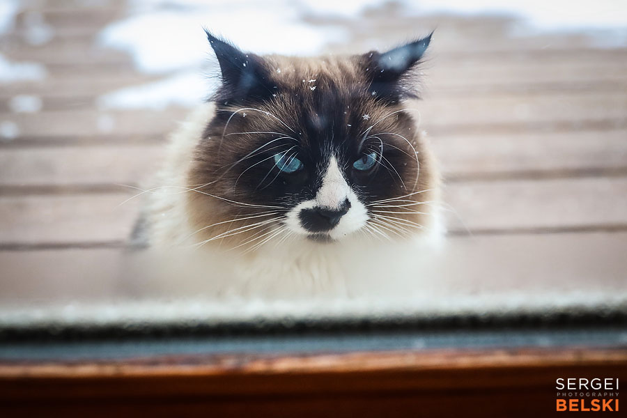 saskatoon family travel photographer sergei belski photo