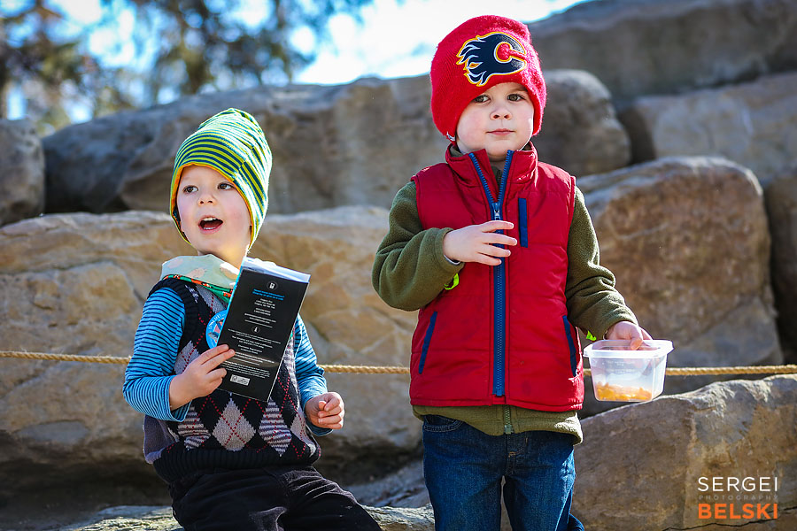 calgary zoo animals photographer sergei belski photo