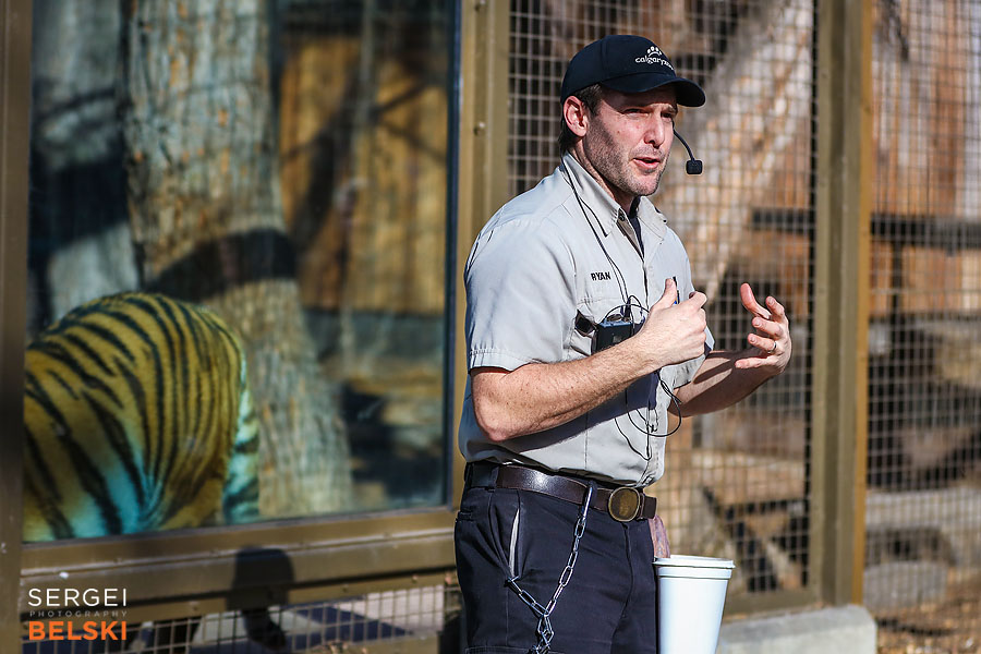 calgary zoo animals photographer sergei belski photo