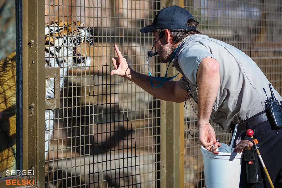 calgary zoo animals photographer sergei belski photo
