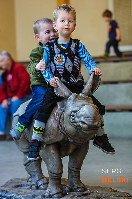 calgary zoo animals photographer sergei belski photo