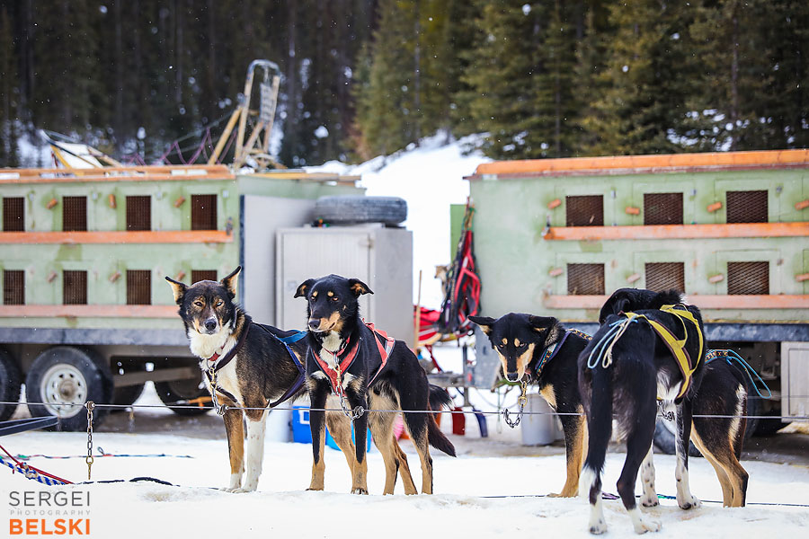 banff lake louise travel photographer sergei belski photo