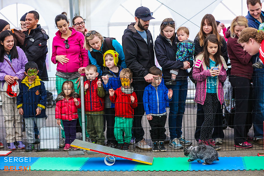 calgary zoo event photographer sergei belski photo