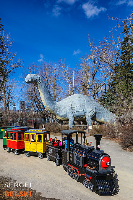 calgary zoo event photographer sergei belski photo