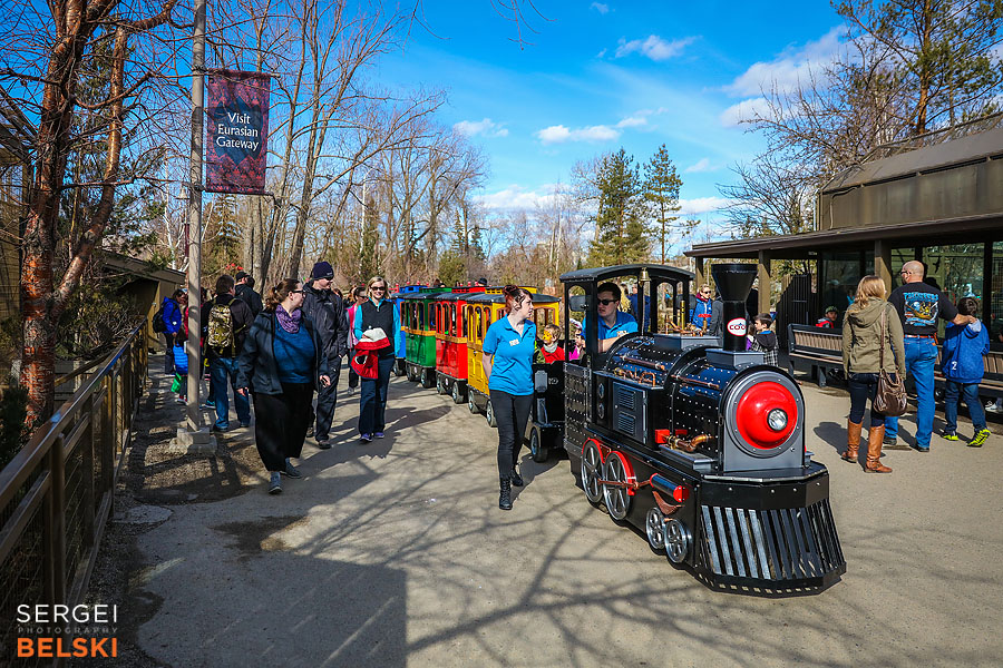 calgary zoo event photographer sergei belski photo