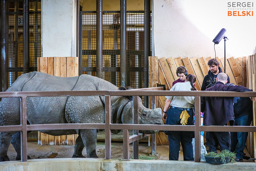 calgary zoo photographer sergei belski photo