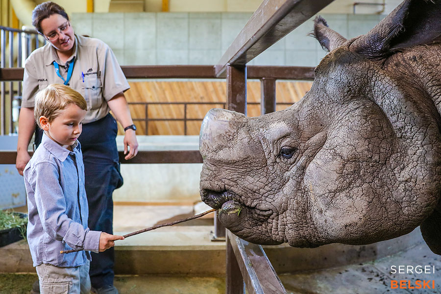 calgary zoo photographer sergei belski photo