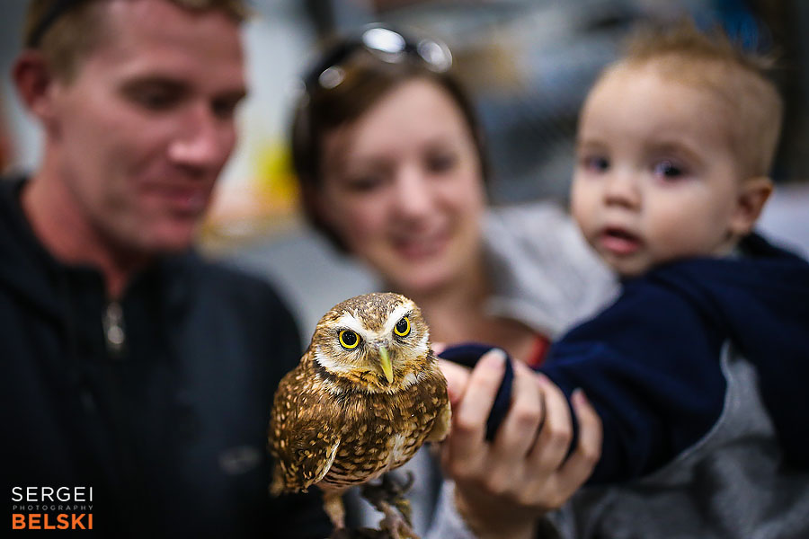 fortis alberta olds commercial event sergei belski photo