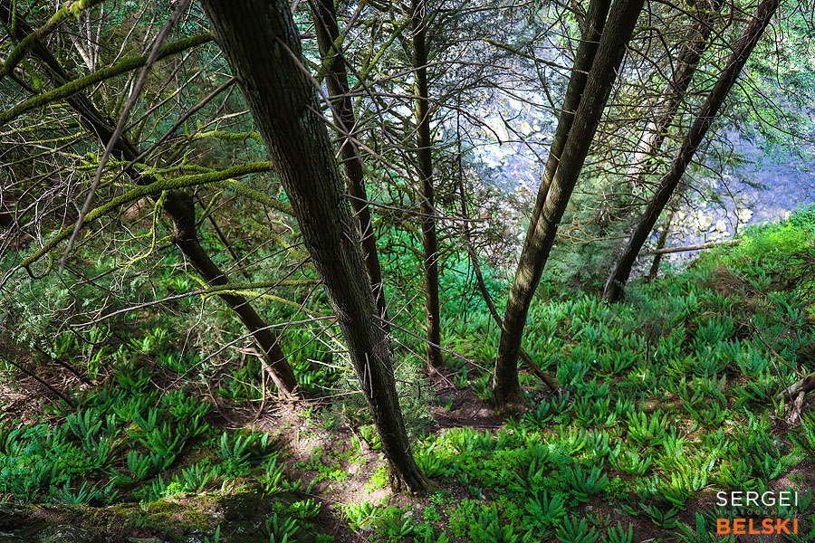 vancouver travel photographer sergei belski photo