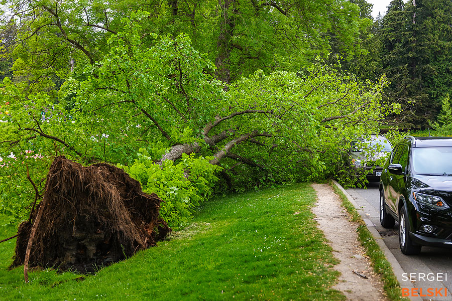 vancouver travel photographer sergei belski photo