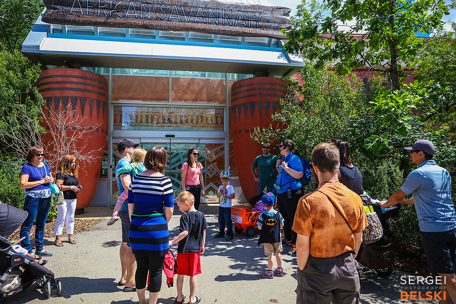 calgary zoo birthday event photographer sergei belski photo