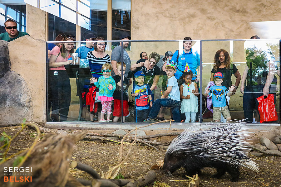 calgary zoo birthday event photographer sergei belski photo