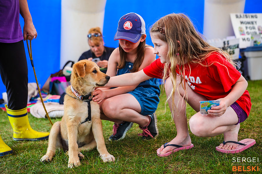airdrie event photographer sergei belski photo