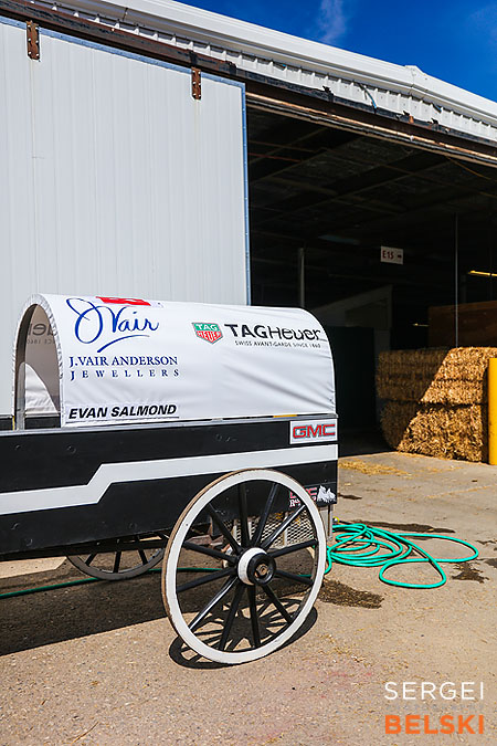 stampede calgary event photographer sergei belski photo