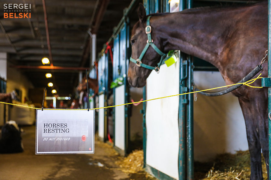 stampede calgary event photographer sergei belski photo