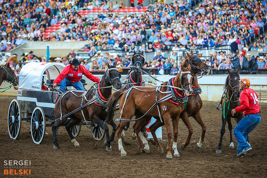 stampede calgary event photographer sergei belski photo