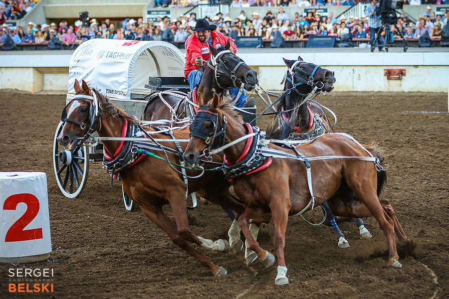 stampede calgary event photographer sergei belski photo
