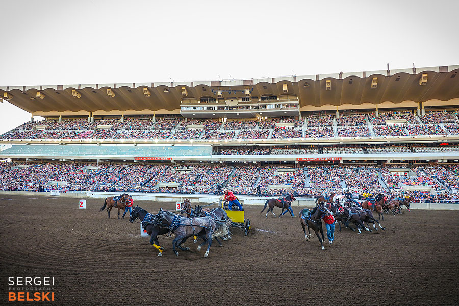 stampede calgary event photographer sergei belski photo