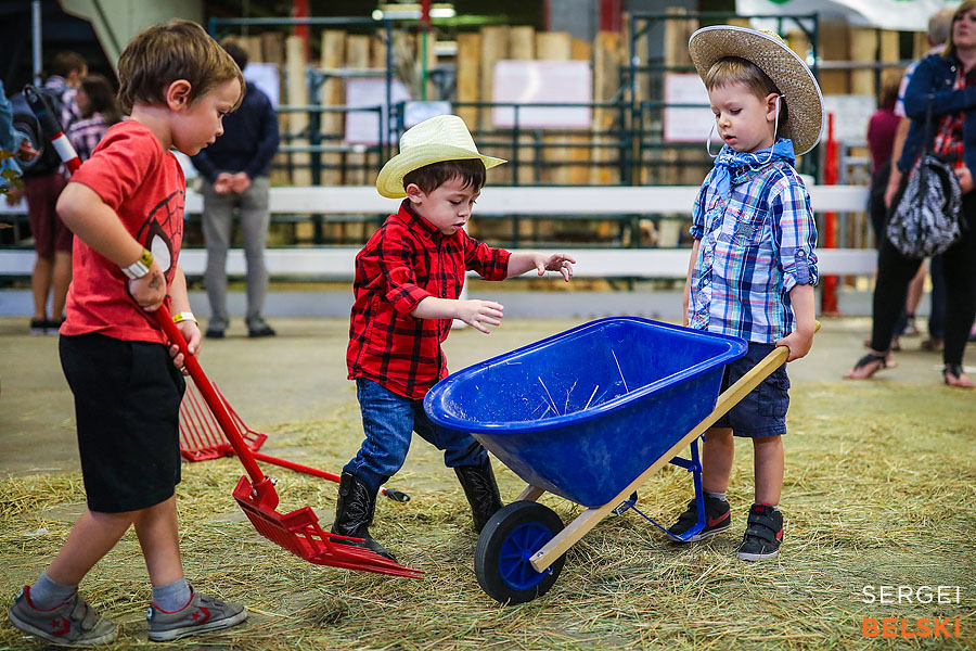 stampede calgary family photographer sergei belski photo
