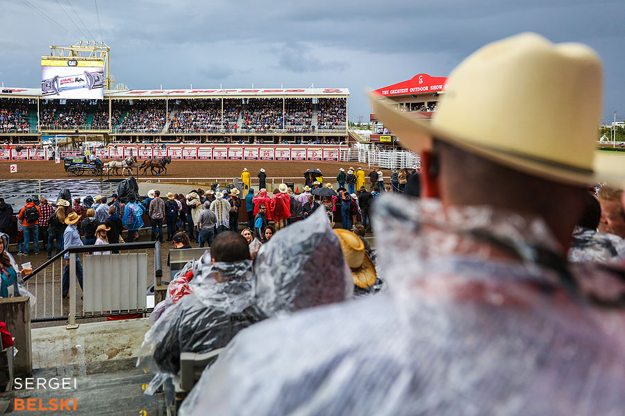 stampede calgary corporate event photographer sergei belski photo