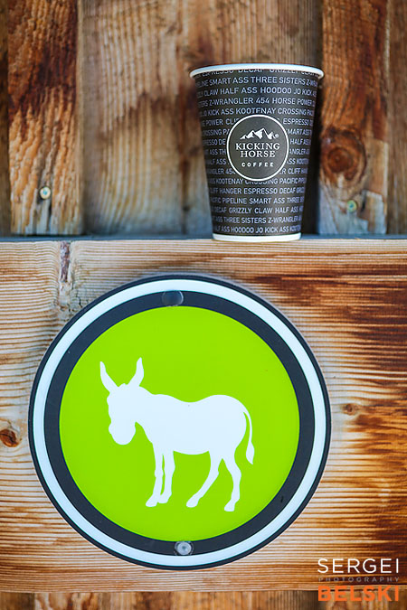 family bc travel photographer sergei belski photo